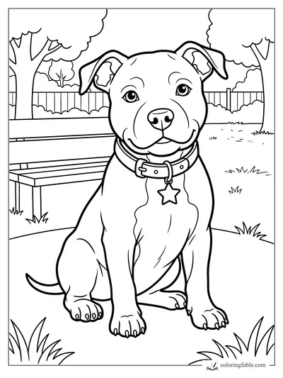 Smiling puppy with floppy ears, collar, star tag, park bench, fence, trees, and grass coloring page