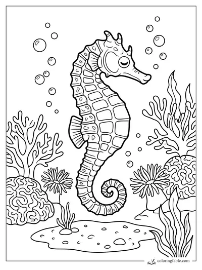 Seahorse coloring pages — sample drawing