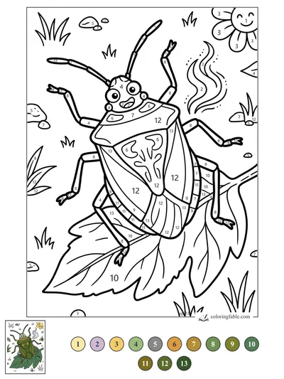 Smiling Shield Bug on Leafy Ground — color by number