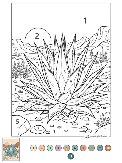Spiky Agave in a Desert Canyon — color by number