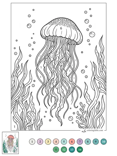 Spotted Jellyfish Drifting Through Seaweed — color by number