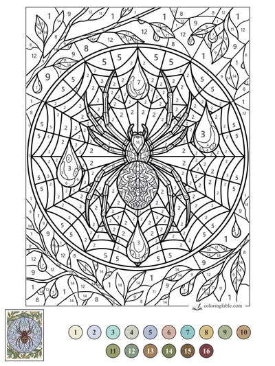 Stained-Glass Spider in a Dewy Web — color by number