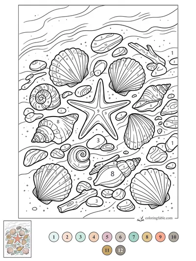 Starfish Among Scallop Shells and Driftwood — color by number