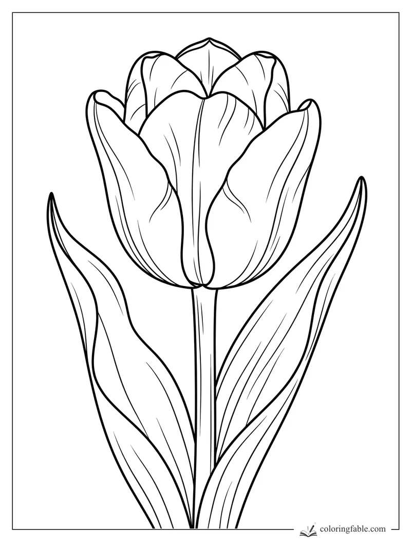 Realistic tulip coloring page with curled petals, long stem, and two pointed leaves