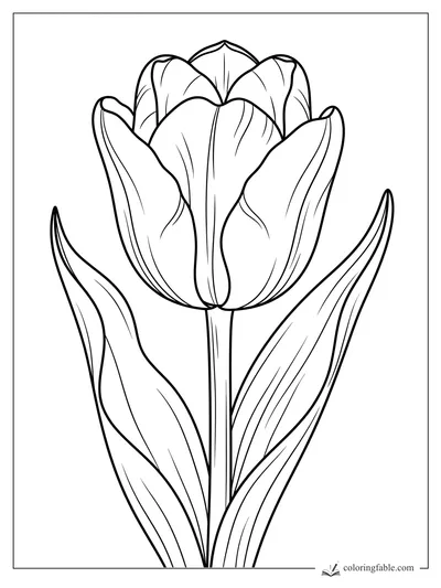 Realistic tulip coloring page with curled petals, long stem, and two pointed leaves