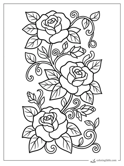 Three large roses on a climbing vine with leaves, buds, and curly tendrils