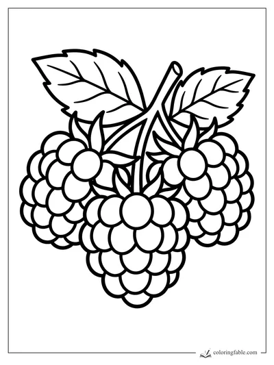 Three raspberries with rounded drupelets, leafy tops, and crossed stems coloring page