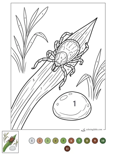 Tick on a Curved Grass Blade — color by number