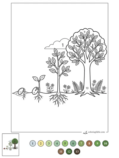 Tree Life Cycle with Roots, Leaves, and Wildflowers — color by number