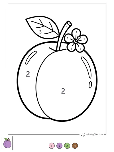 Two Plums with a Leaf and Blossom — color by number