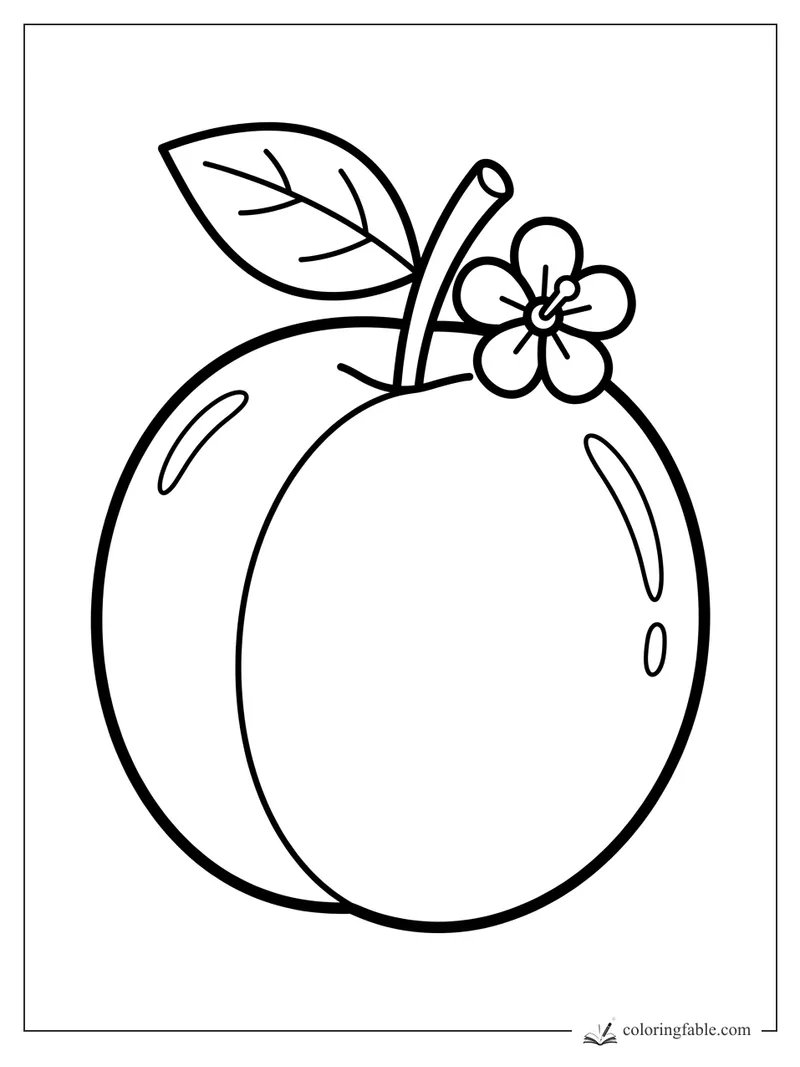 Simple plum coloring page with two round plums, a curved stem, one leaf, and a five-petal flower.