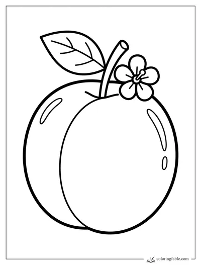 Simple plum coloring page with two round plums, a curved stem, one leaf, and a five-petal flower.