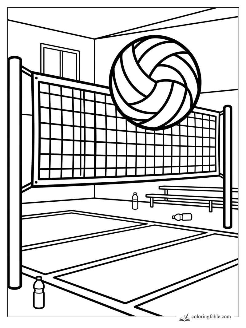 Easy coloring page of a volleyball above an indoor net with court lines, benches, and water bottles.
