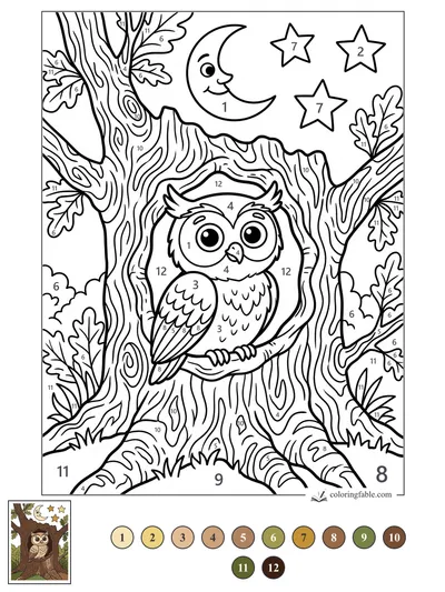 Wide-Eyed Owl in a Moonlit Oak — color by number