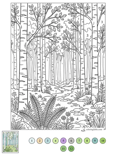 Winding Path Through a Birch Forest — color by number