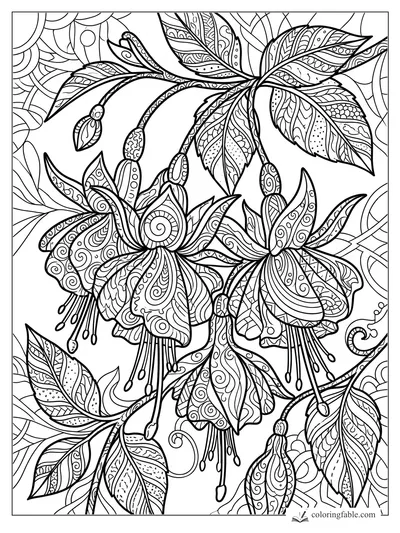 Intricate zentangle fuchsia flowers with dangling stamens, buds, vines, and patterned leaves.