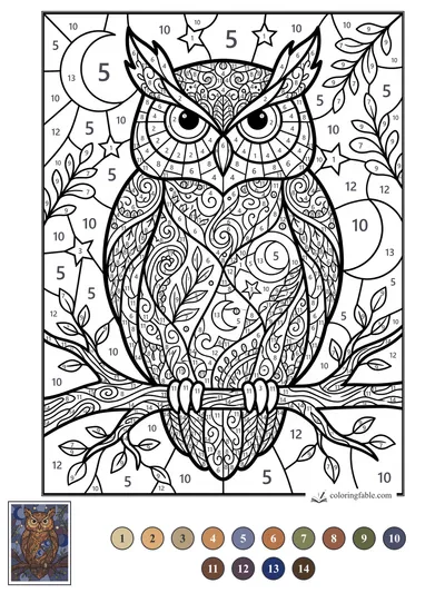 Zentangle Owl Under Moon and Stars — color by number